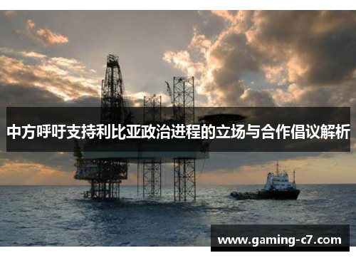 中方呼吁支持利比亚政治进程的立场与合作倡议解析