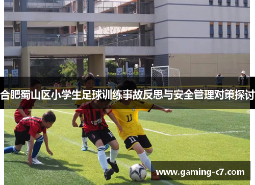 合肥蜀山区小学生足球训练事故反思与安全管理对策探讨