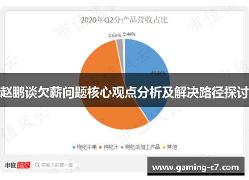 赵鹏谈欠薪问题核心观点分析及解决路径探讨